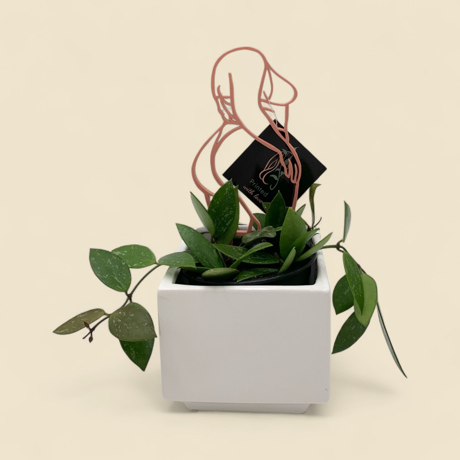 GIRL BOSS TRELLIS 7.5" PINK