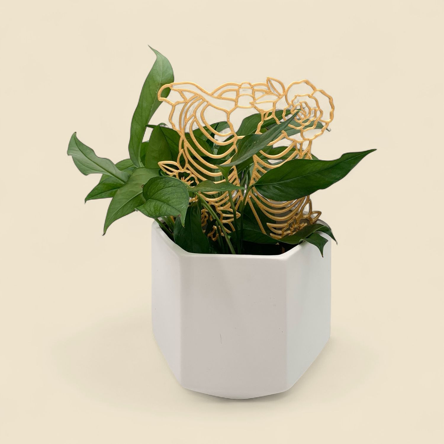 RIBCAGE TRELLIS 9" GOLD