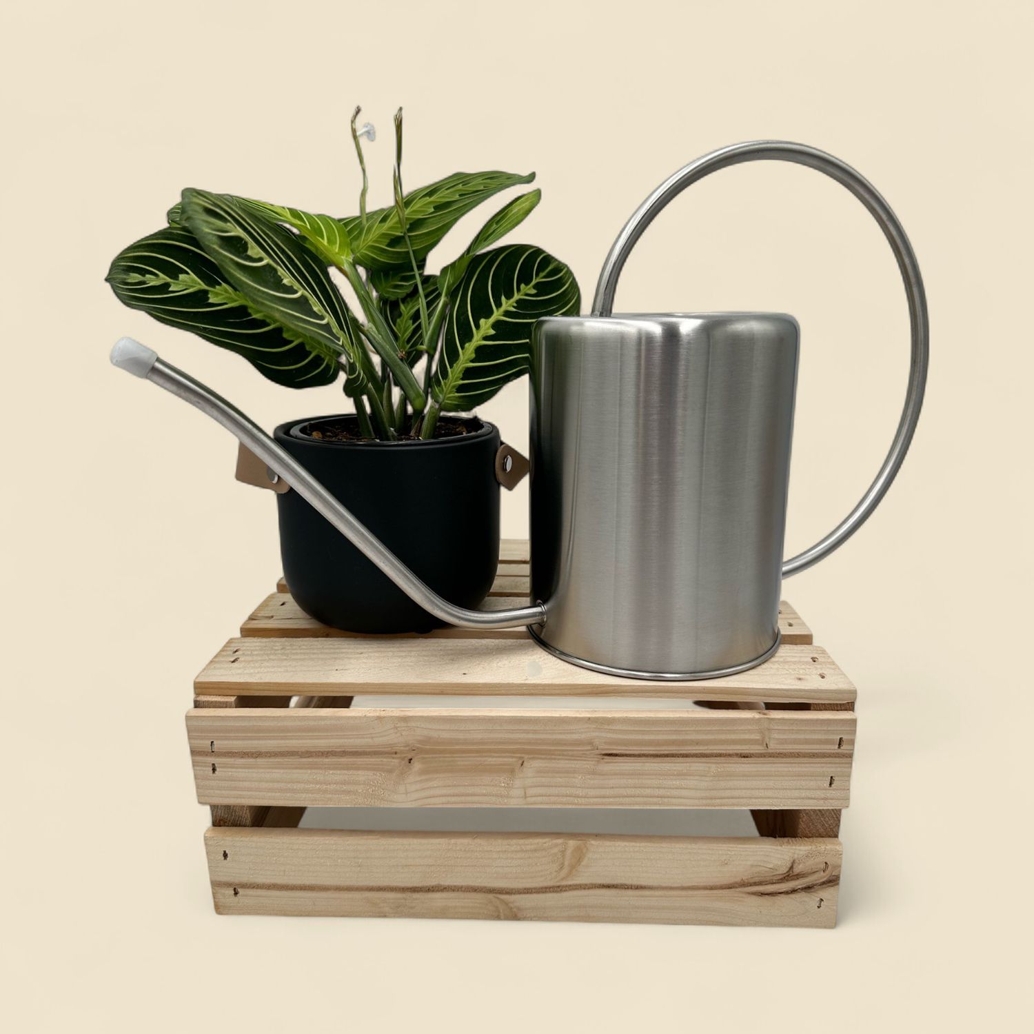 STAINLESS STEEL WATERING CAN 2L