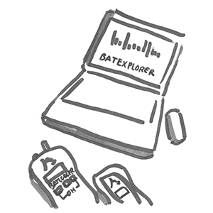 Software