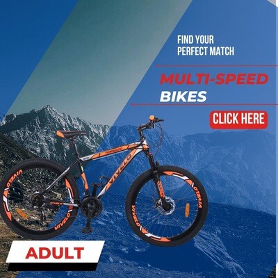 MTB Multi Speed