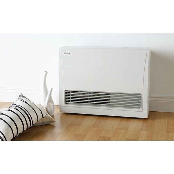 Rinnai Energysaver Heater 559FT - Natural Gas - With Flue