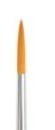 No 2 Golden Round brush for Face Painting No 2 Golden Round brush for Face Painting