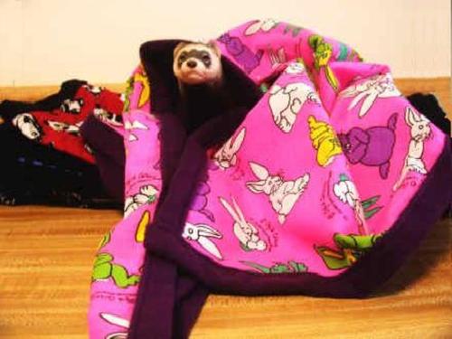 Lap of Luxury Ferret Sleep Blanket