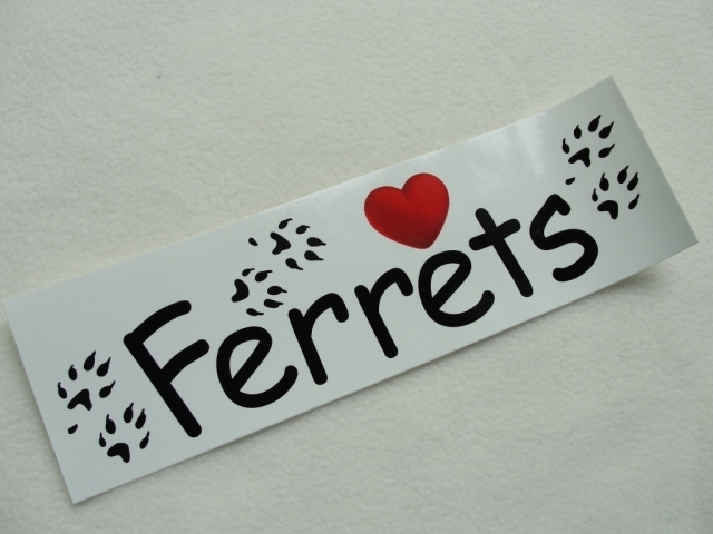 Ferrets - Heart Paw Prints Bumper - Pet Taxi Sticker