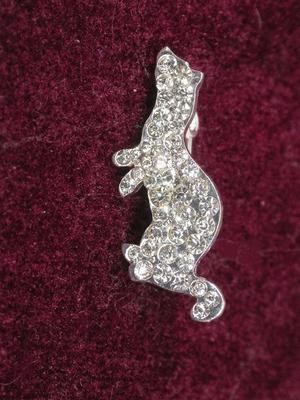 Ferret Clear Rhinestone Pin - Small