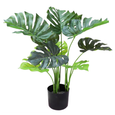 Artificial Plants