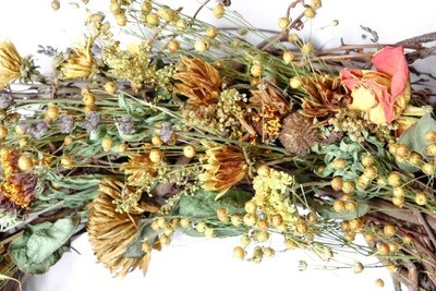 Dried Flowers