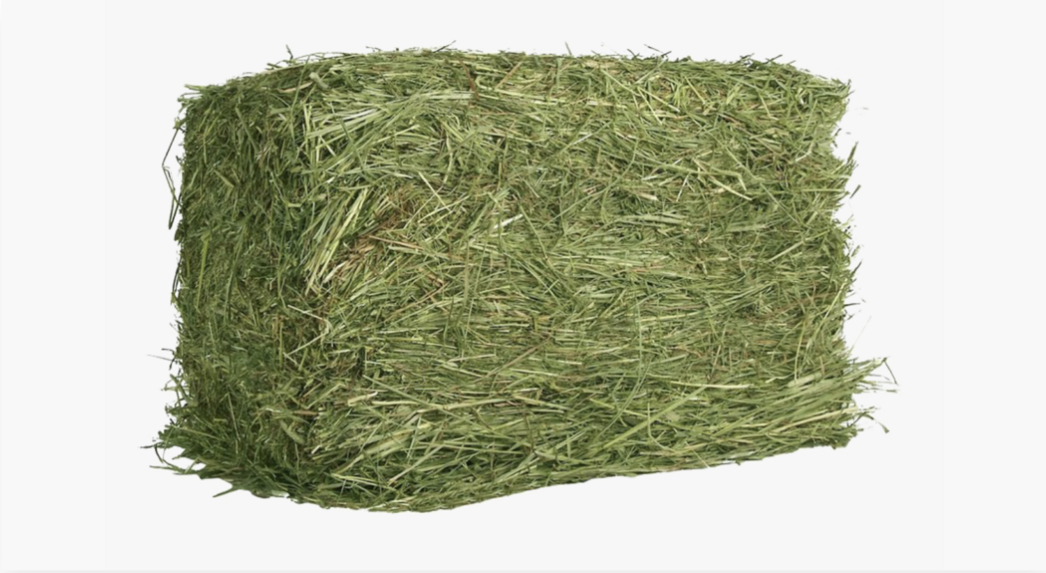 Timothy Hay Premium Quality