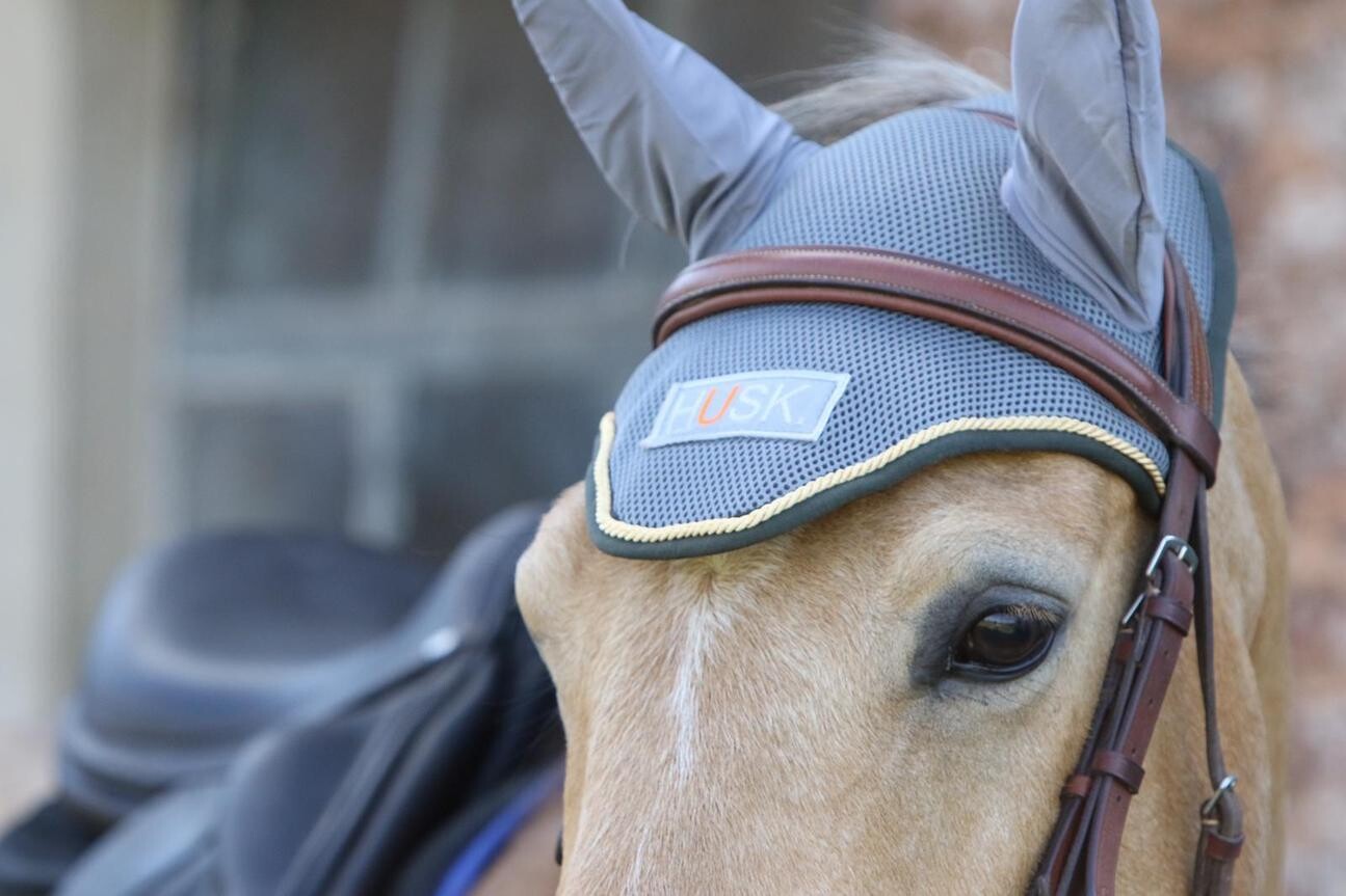 HUSK Horse Ear Air Protectors