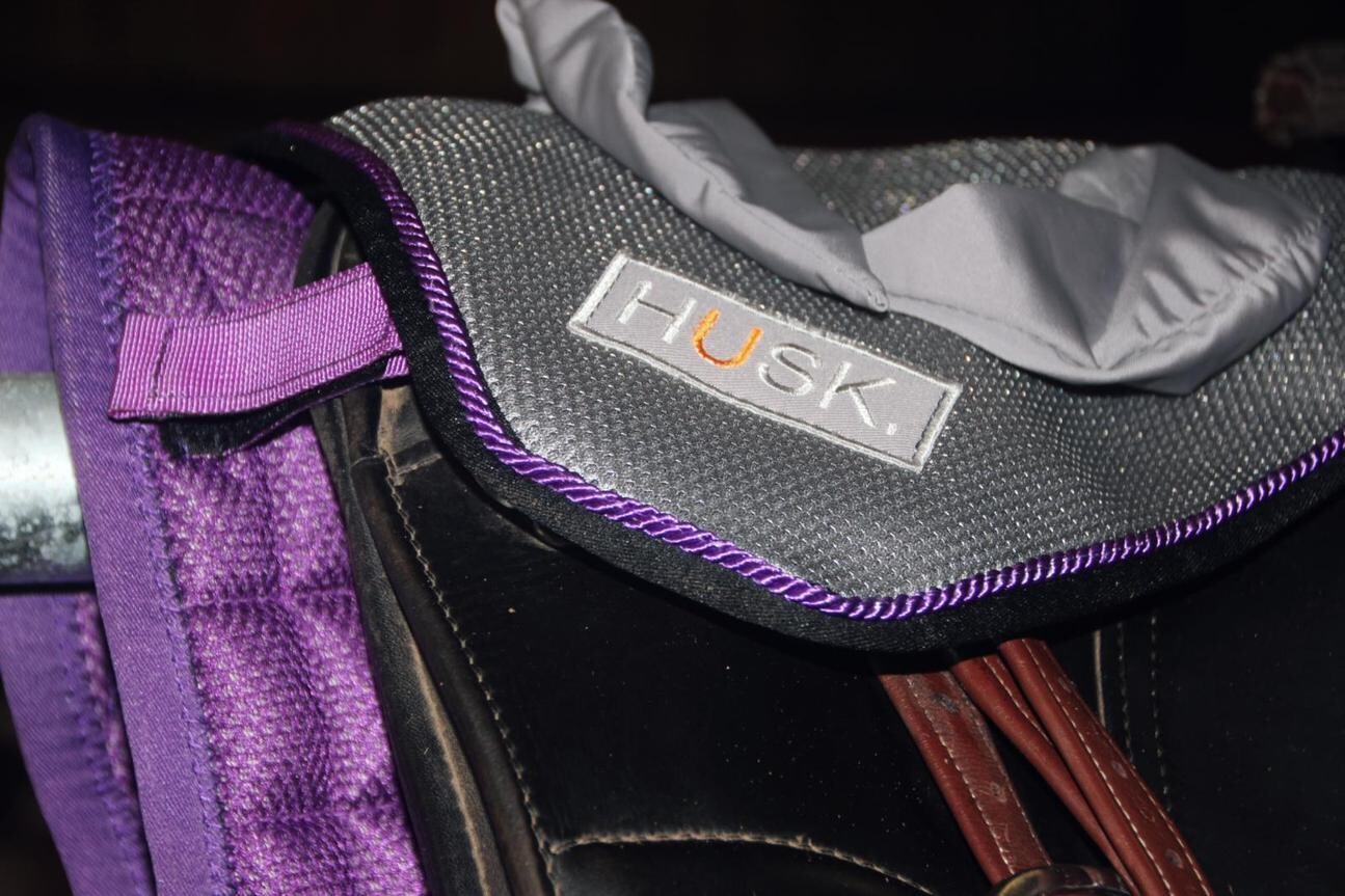 HUSK Horse Ear Air Protectors