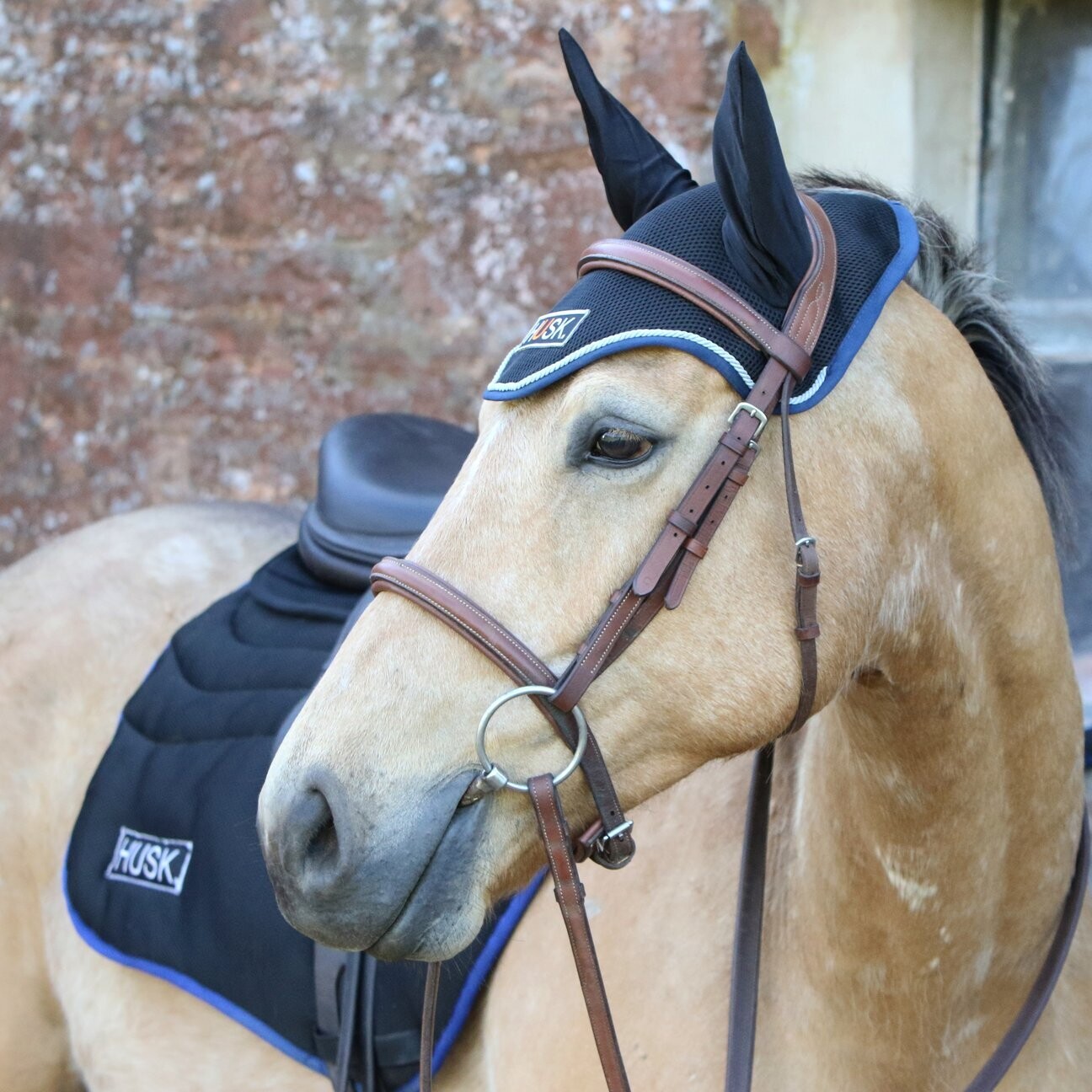 HUSK Horse Ear Air Protectors