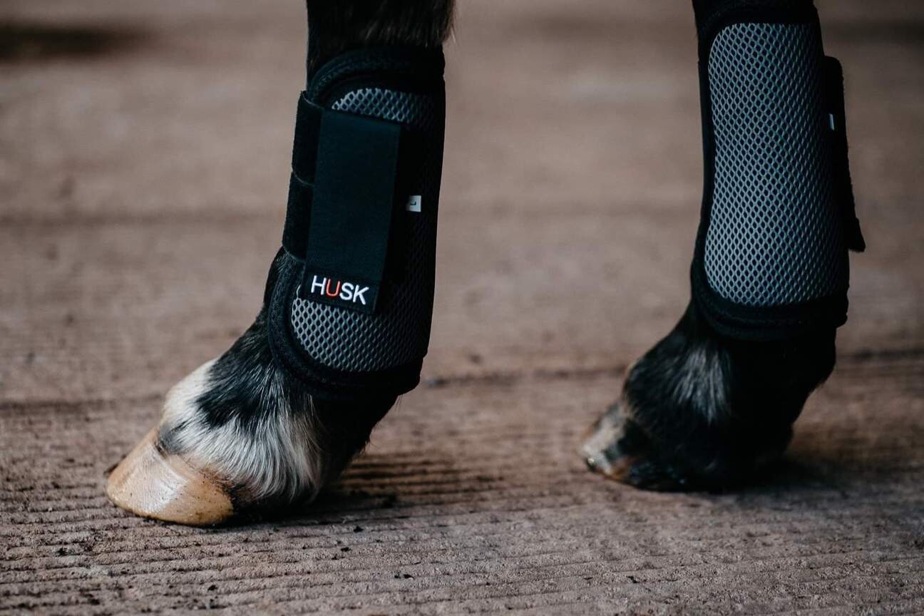 HUSK Shock Air Tendon Horse Boots