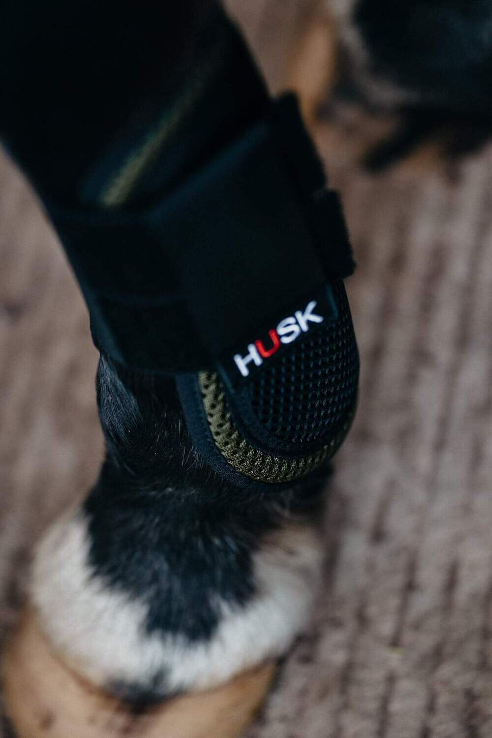 HUSK Shock Air Tendon Horse Boots