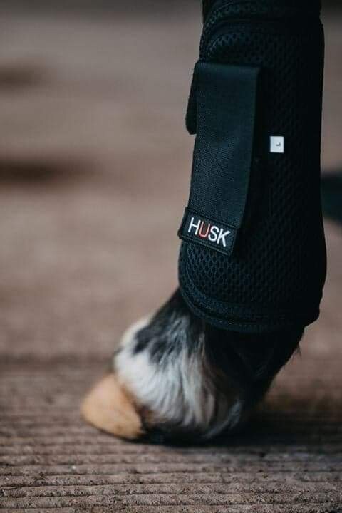 HUSK Shock Air Tendon Horse Boots