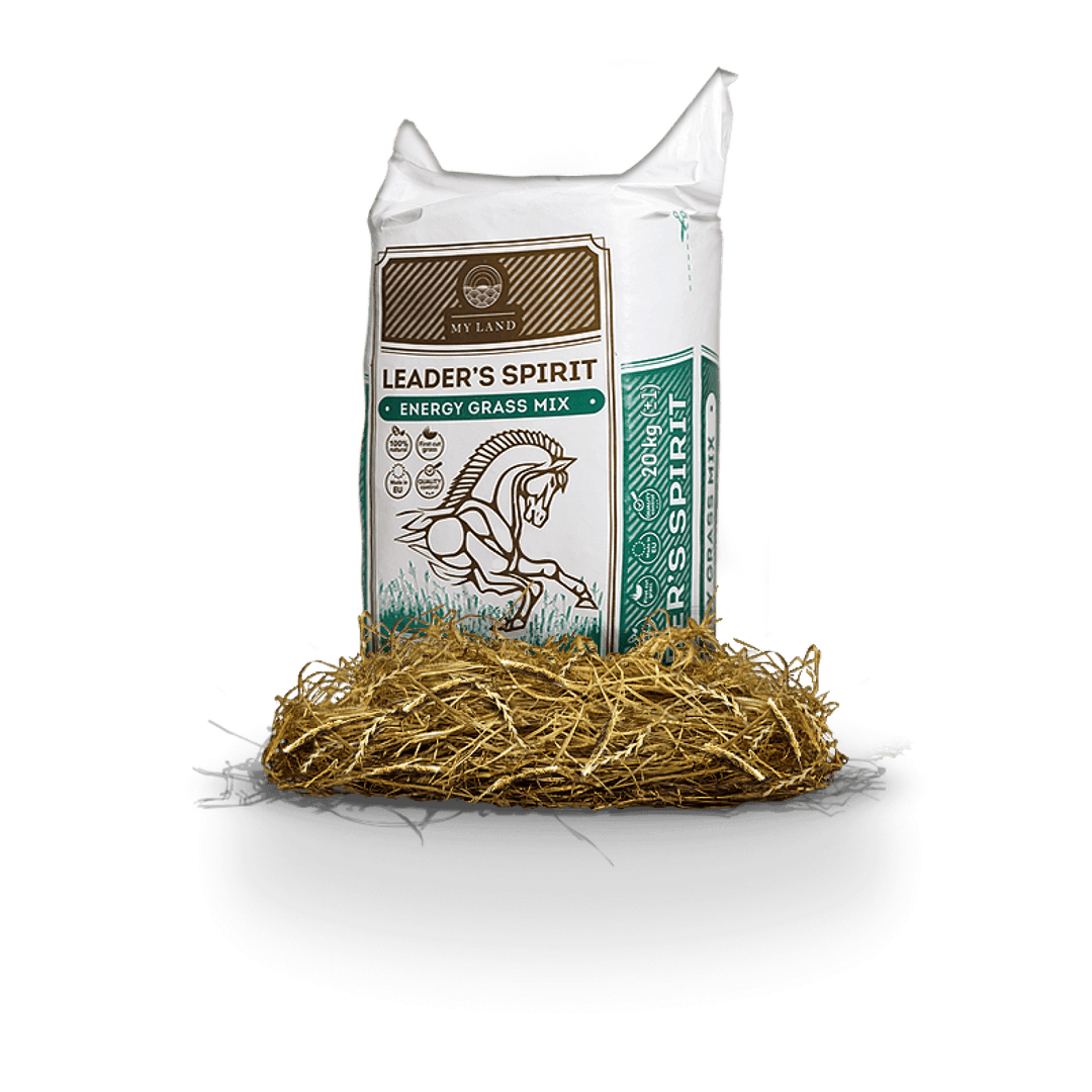 Leader’s Spirit Energy