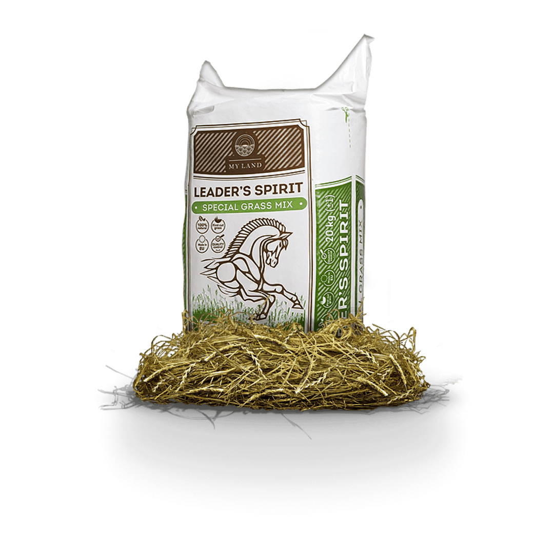 Leader’s spirit Special