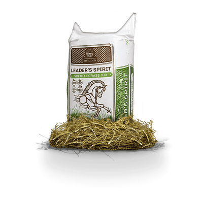 Leader’s spirit Special