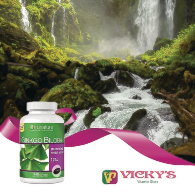 Ginkgo Biloba