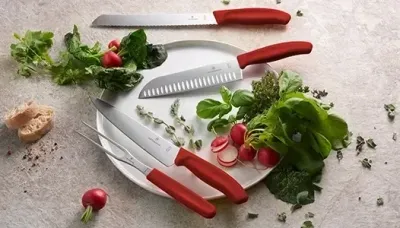 Victorinox