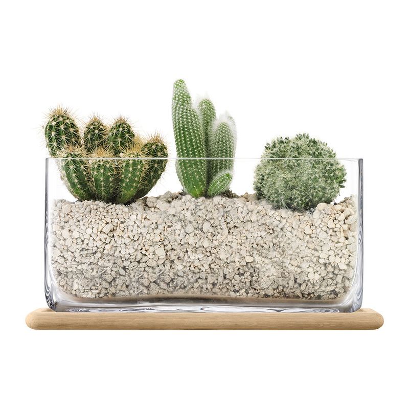 LSA International Glass Planter Oblong w/Oak Base