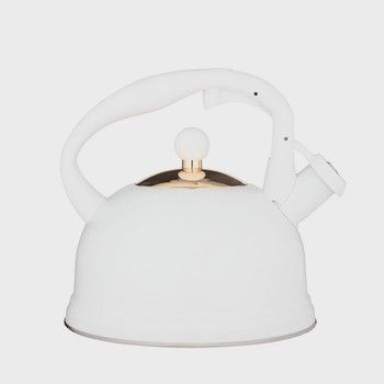 Typhoon Otto Kettle White
