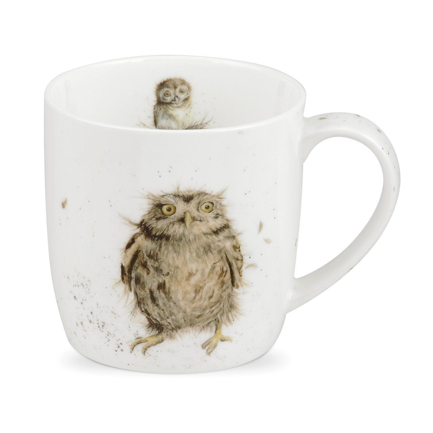 Royal Worcester What a Hoot Mug