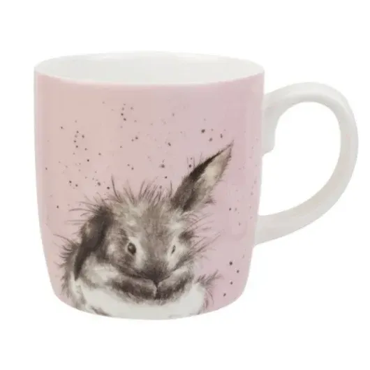 Royal Worcester Rabbit Bathtime  Mug