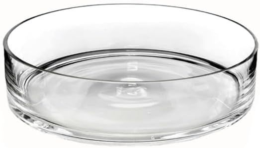 Natural Living Glass Shallow Bowl 9.8. in  x 3 in