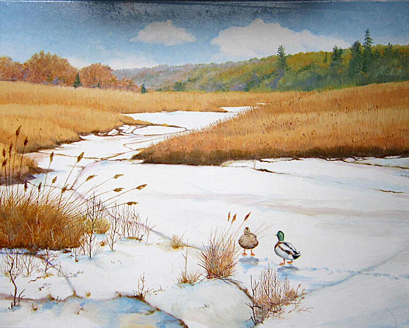 A Pair Of Mallards On A Frozen Lake