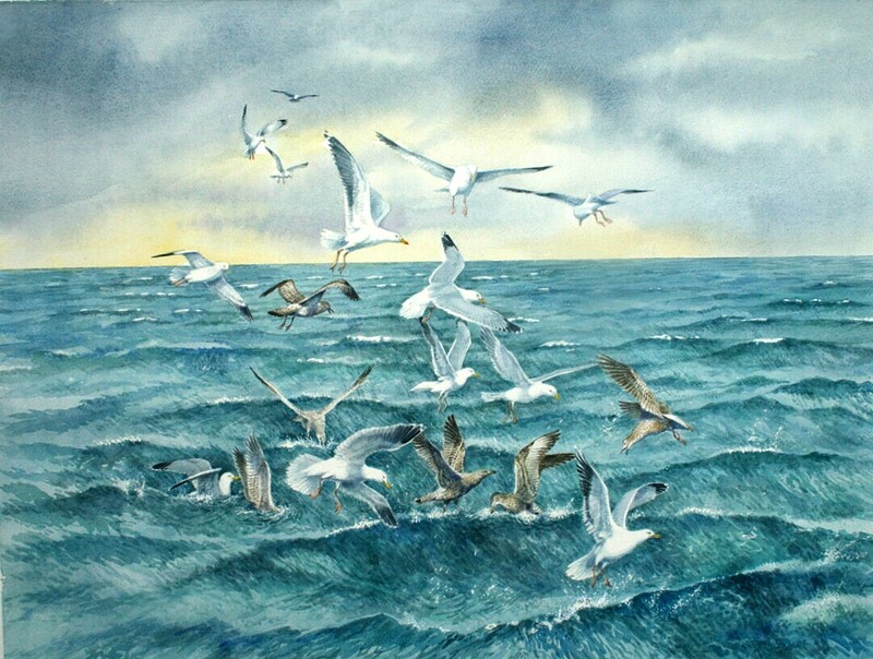 Herring Gulls Feeding at Sea