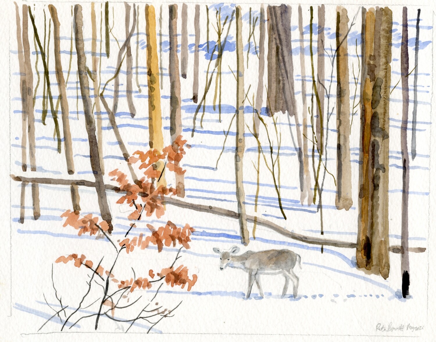 Snow Deer Amidst Long Blue Shadows