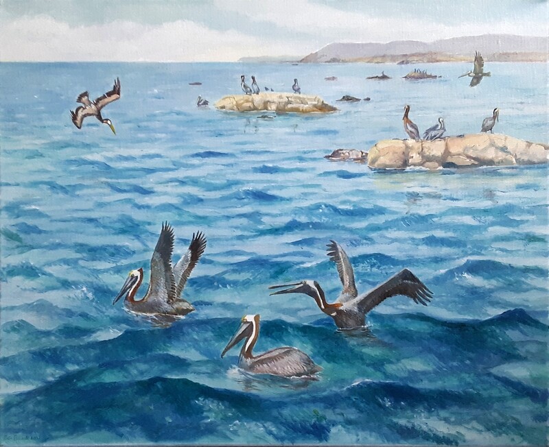 Pelicans on the Bay