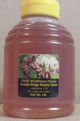Pure, Raw, Unfiltered Ohio Wildflower Honey - 1 lb. Plastic Skep