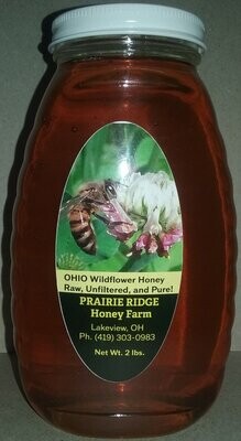 Pure, Raw, Unfiltered Ohio Wildflower Honey - 2 lb. Glass Jar