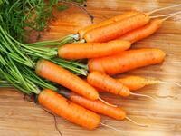 Scarlet Nantes Carrots