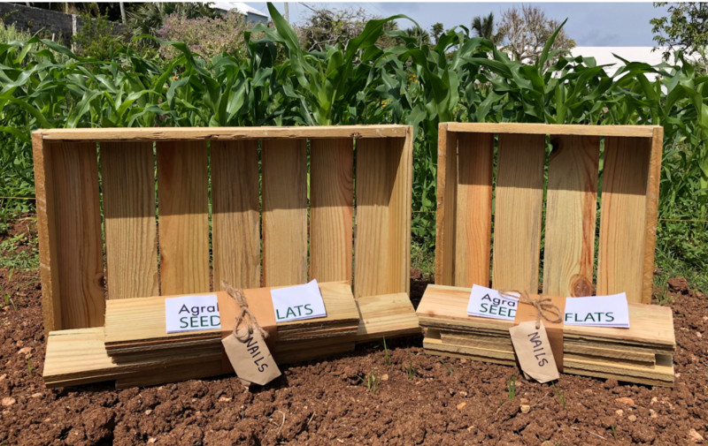 Half-size Handcrafted Wooden Seedling Flat