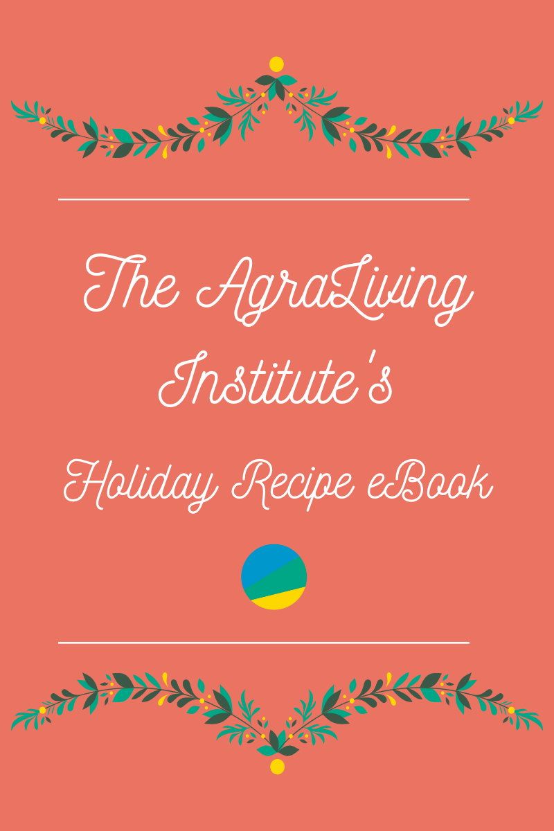 Holiday Recipe eBook