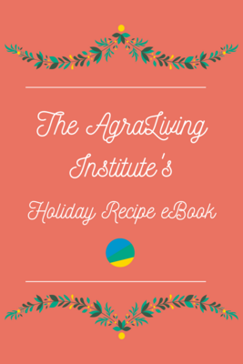 Holiday Recipe eBook
