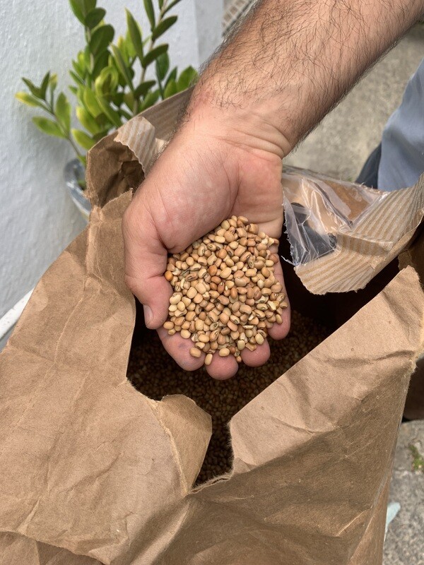 Iron &amp; Clay Southern Pea (Cowpea) 1lb