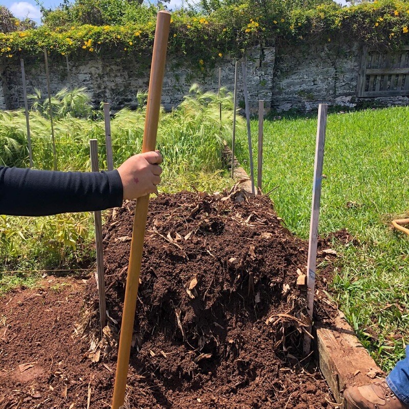 Composting &amp; Community Building