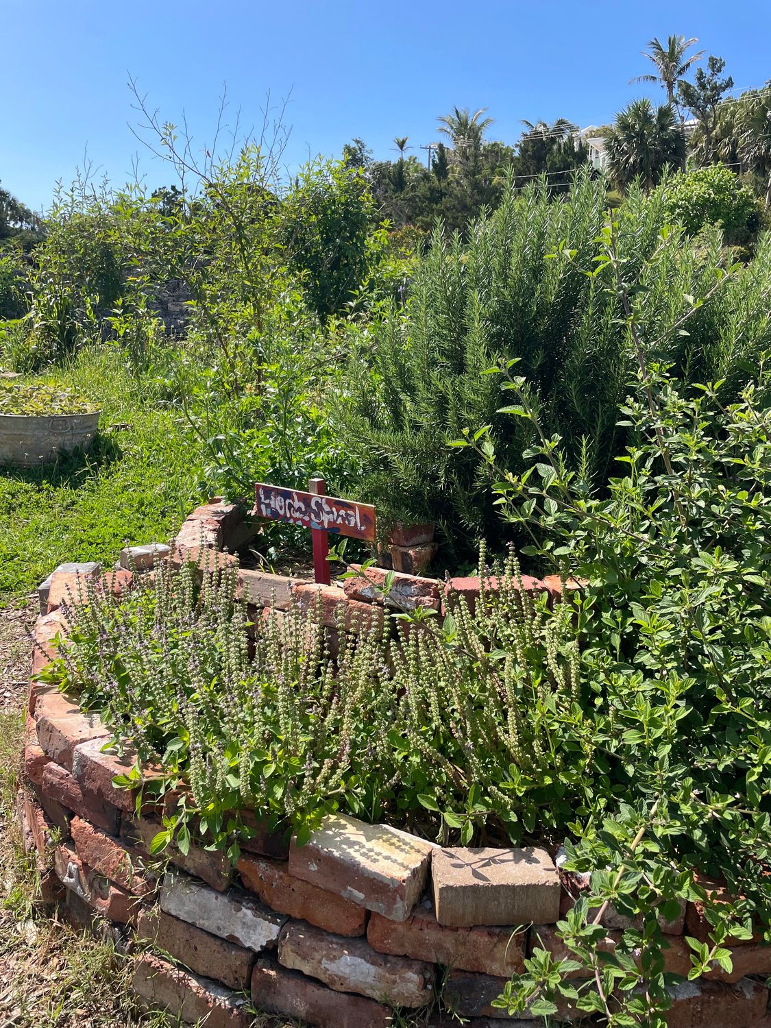 Spiral Your Herbs to Success