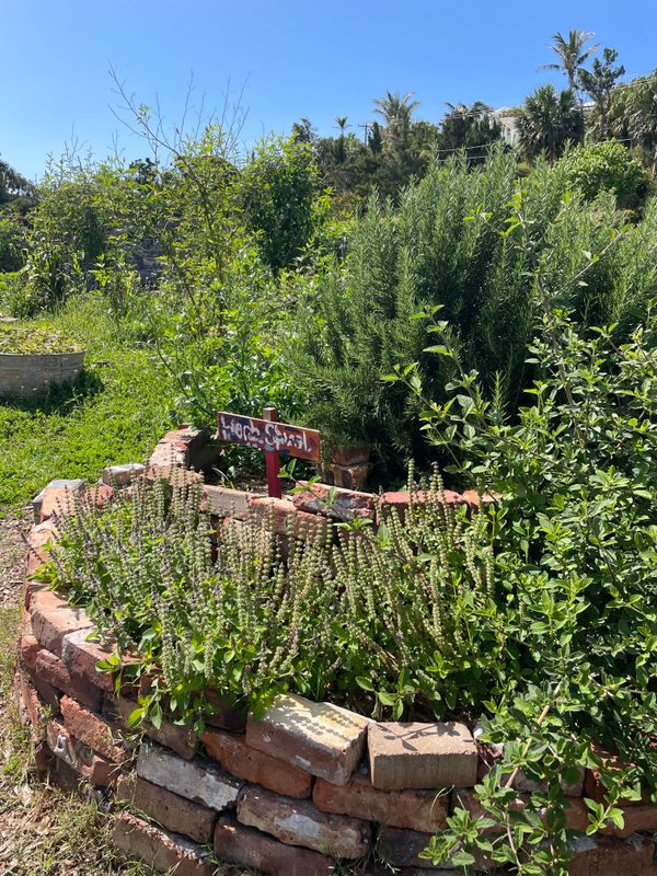 Spiral Your Herbs to Success