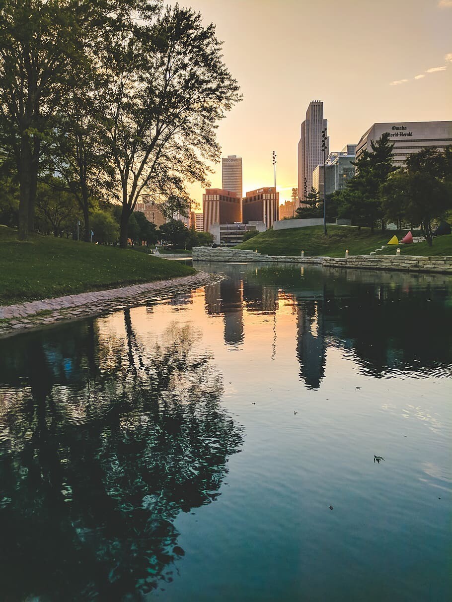 Concrete Jungle