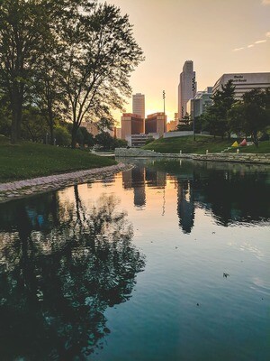 Concrete Jungle