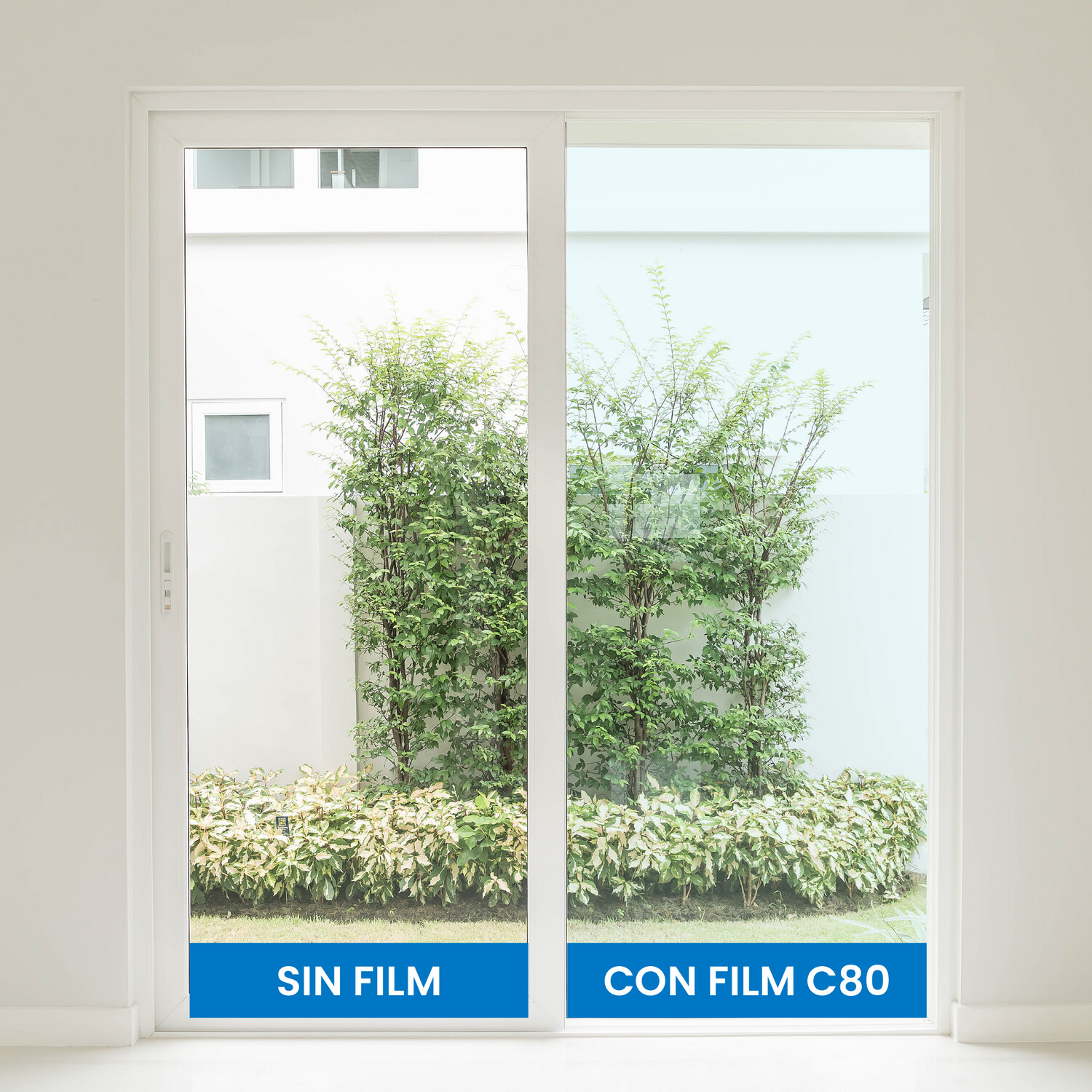 Film cerámico C80