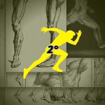 Pacchetto di allenamento 2