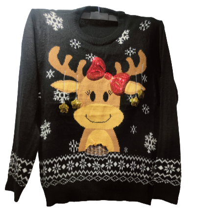 Designer Ladies Sweater