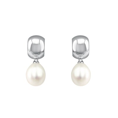 Sterling Silver FWP Drop Earrings