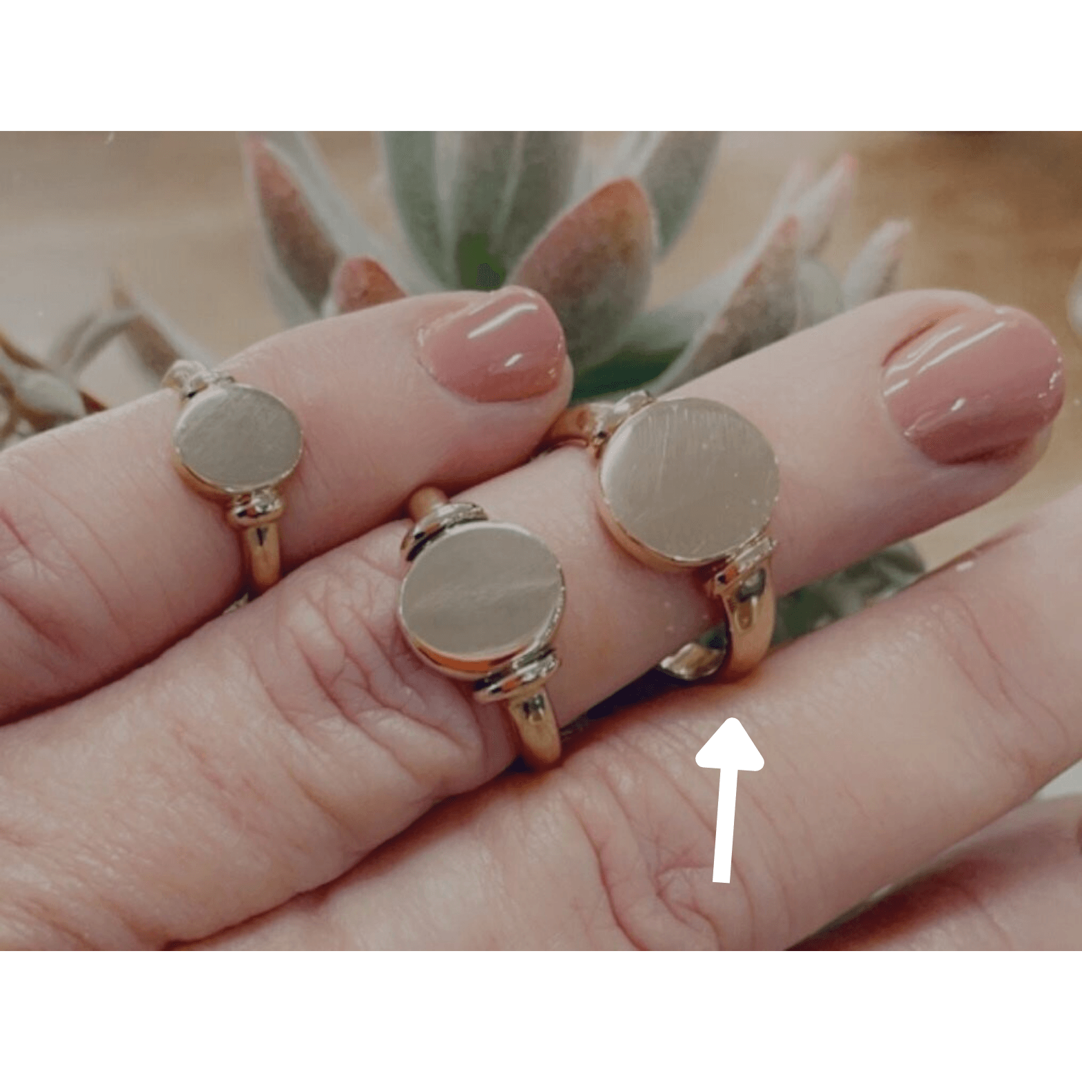 Oval Signet Ring -Tilly (14.5 x 11.50mm)